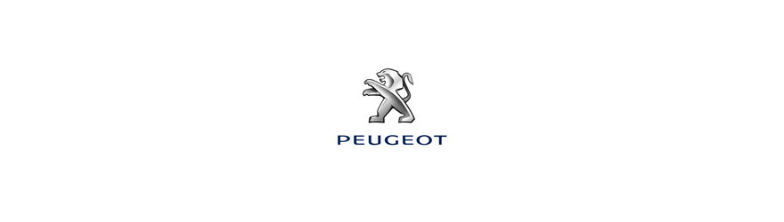 KITS PEUGEOT